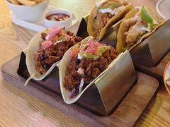 -Famous肥猫墨西哥音乐餐吧(五棵松华熙LIVE店)