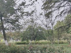 -花溪公园