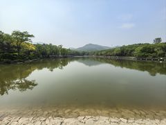 -北宫国家森林公园