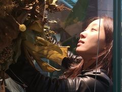 -植物学家的女儿(北马道巷店)