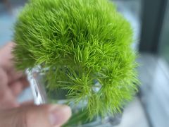 -希尔顿南海酒店·观廊大堂吧·海景下午茶