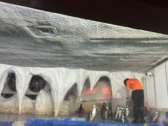 -太平洋海底世界