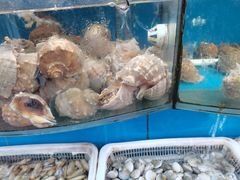 水产区-渔中舟海鲜大排档(普陀沈家门店)