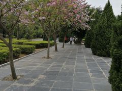 -南沙天后宫景区