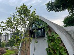 -桂花寨(北碚二店)