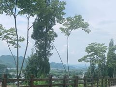 -万峰林风景区