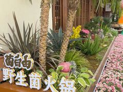 -菌自由丨野生菌火锅特色庭院餐厅(丽江古城店)