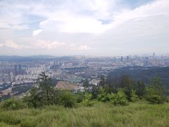 -长虫山生态公园风景林