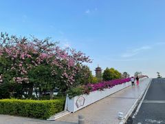 -厦门园林博览苑