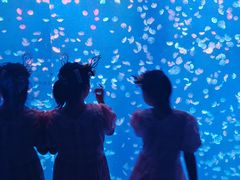 -江和美海洋公园