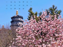 -湛山寺