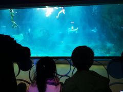 -福州罗源湾海洋世界旅游区