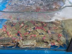 -老东镇啤酒屋海鲜加工·蒸汽海鲜·海鲜烧烤(台东店)