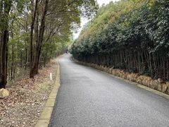 -雨花胜境