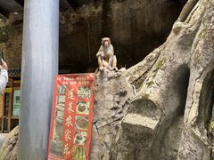 -南江大峡谷