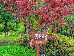 -艾溪湖湿地公园
