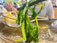 -食潮汕头鲜牛馆(望京保利店)