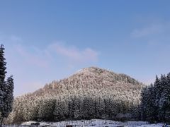 -武陵山森林公园