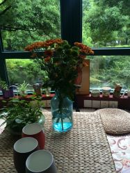 -Union瑜伽健康管理中心