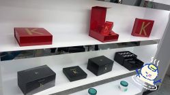 -YESIDO椰岛造型
