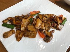 -菩提树·素食餐厅(汇智国际商业中心店)