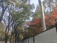 -后襄河公园