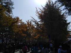 -辽宁大学(崇山校区)