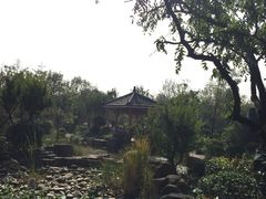 -武清南湖绿博园