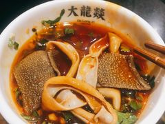 -大龙燚火锅(春熙店)