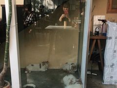 门面-花苑里咖啡(威远店)