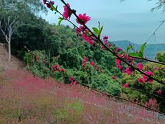 -广州市帽峰山景区