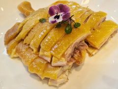 -明本湛江鸡•海鲜小厨(陈家祠店)