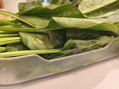 -西部马华清真兰州牛肉面·烧烤夜市(关东店)