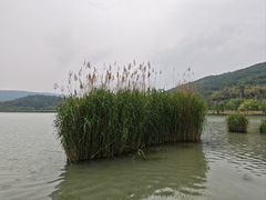 -南北湖风景区