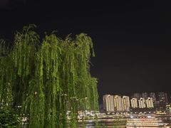 -郭婆婆疯子鸡·土货江湖菜馆