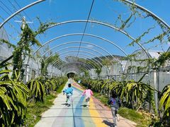 -海堤葡萄园中小学生研学基地