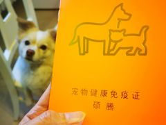 -瑞派长江宠物医院·猫科·外科·24小时夜护(谊城公寓分院)