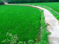 -韶山毛泽东同志故居