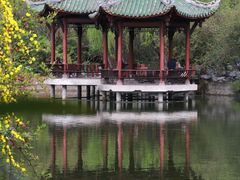 -棠湖公园