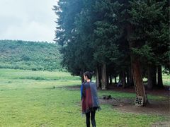 -四川郎木寺镇