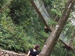 -衢州大荫山丛林飞越探险乐园