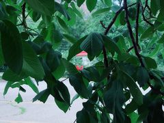 -龙门涧景区