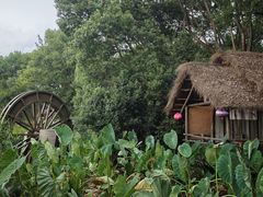 -天目湖山水园