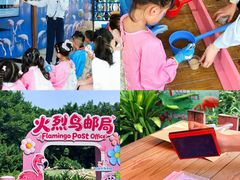 -广州长隆飞鸟乐园