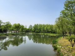 -东郊湿地公园