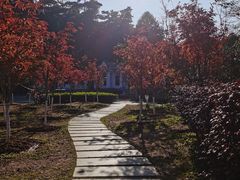 -广州市帽峰山景区
