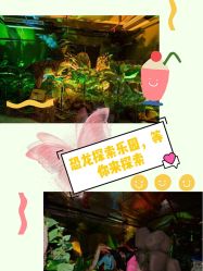 -恐龙探索乐园(磁器口店)