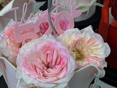 -宏发园动物奶油生日蛋糕(先锋路店)