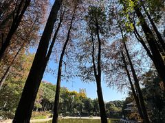-黄埔荔枝公园