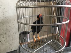 -三岔涧农家乐